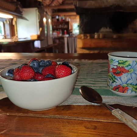 Anni Tourism Farm Βίλα Tammese Εξωτερικό φωτογραφία