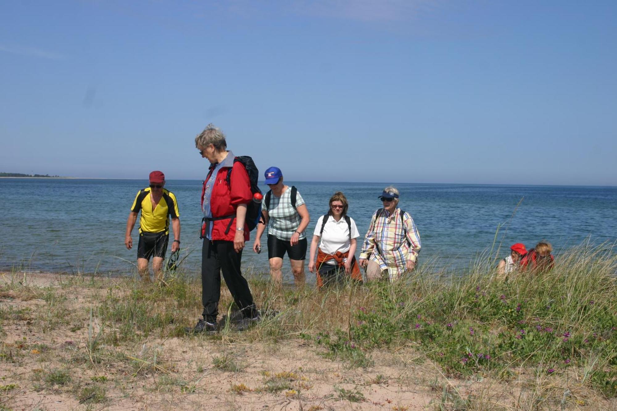 Anni Tourism Farm Βίλα Tammese Εξωτερικό φωτογραφία