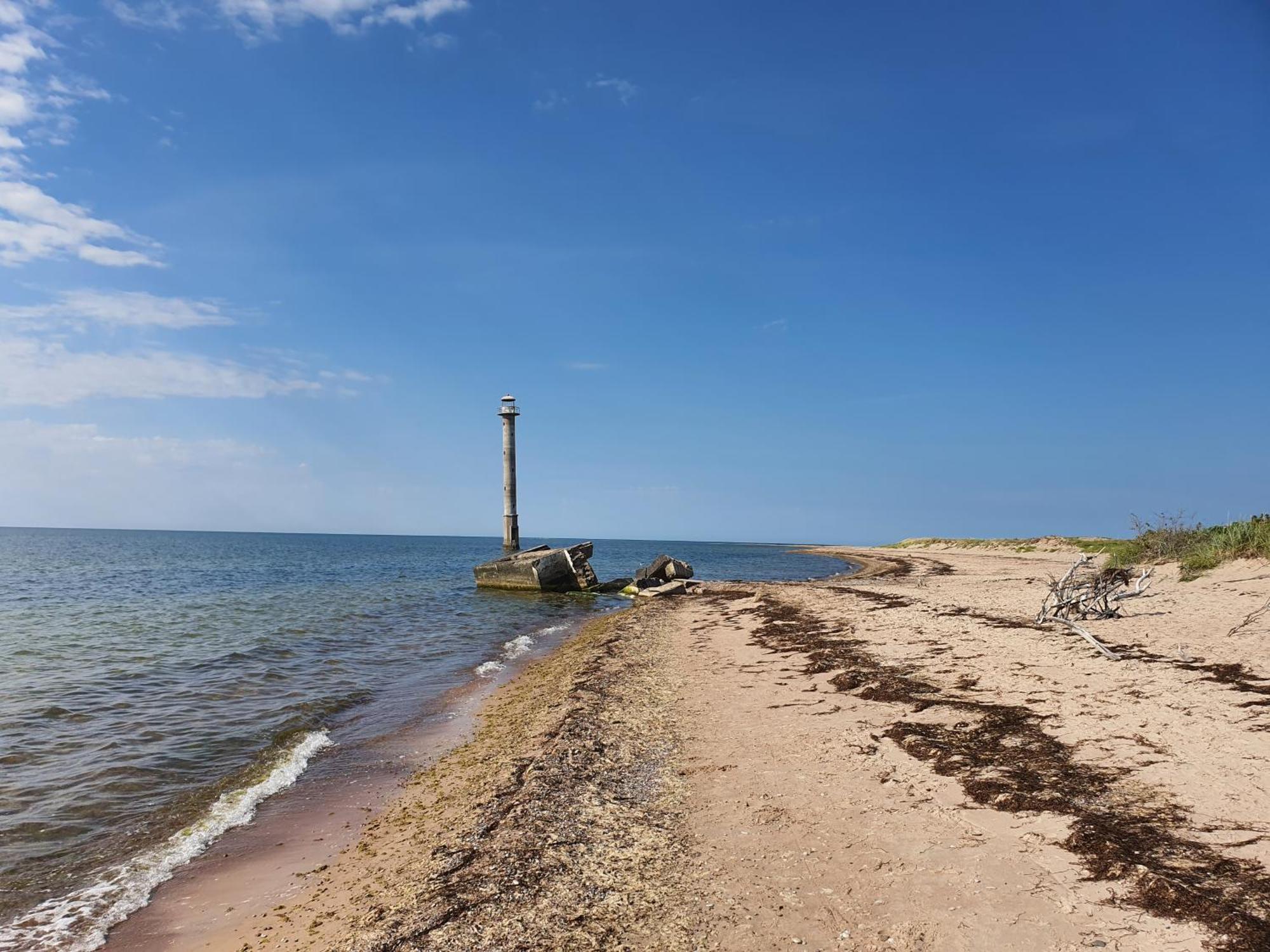 Anni Tourism Farm Βίλα Tammese Εξωτερικό φωτογραφία