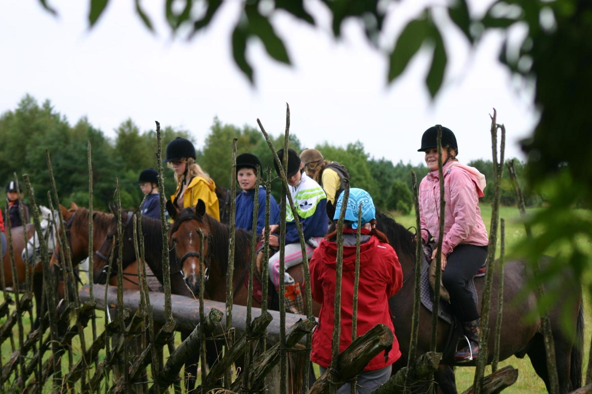 Anni Tourism Farm Βίλα Tammese Εξωτερικό φωτογραφία