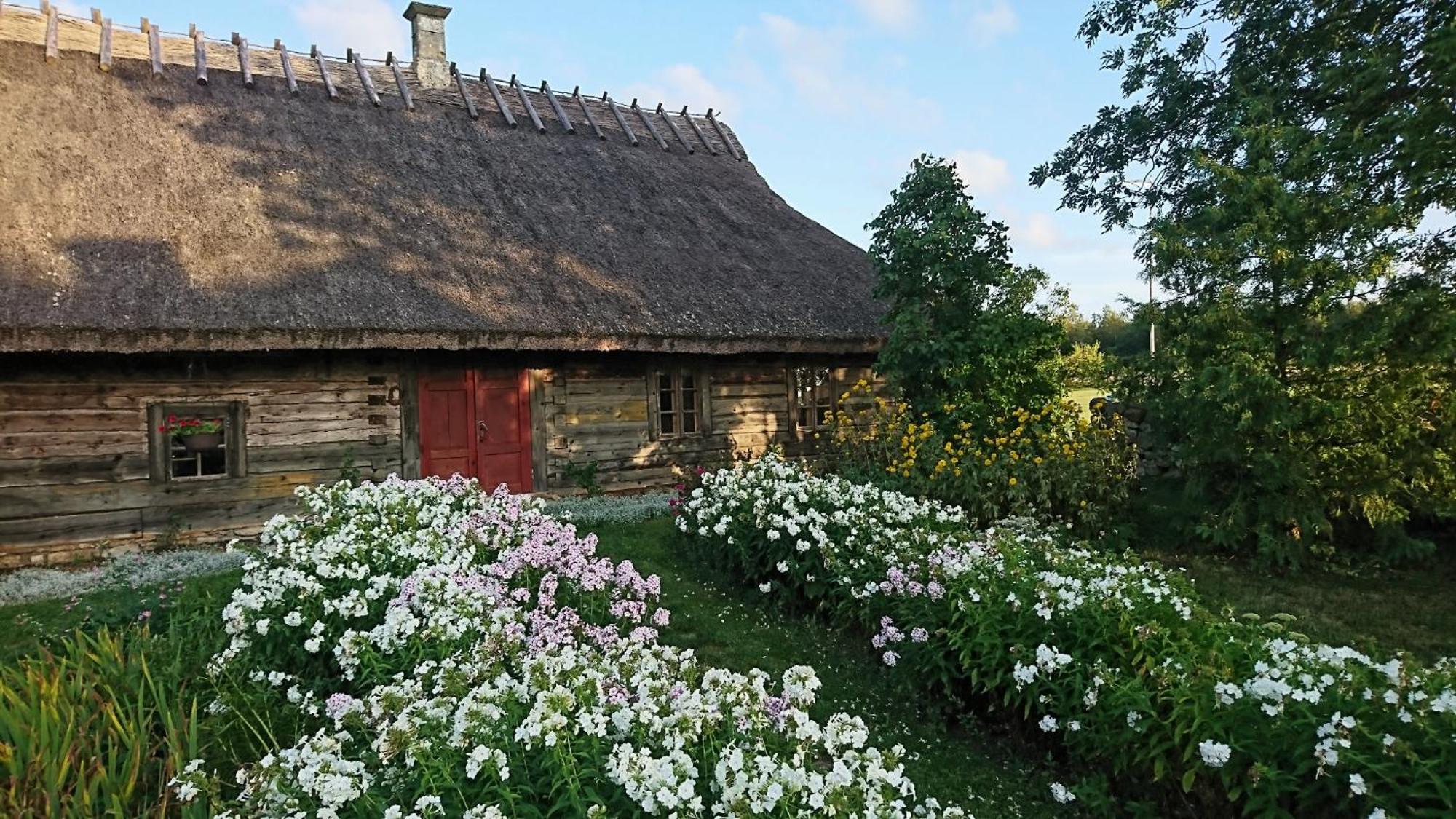 Anni Tourism Farm Βίλα Tammese Εξωτερικό φωτογραφία