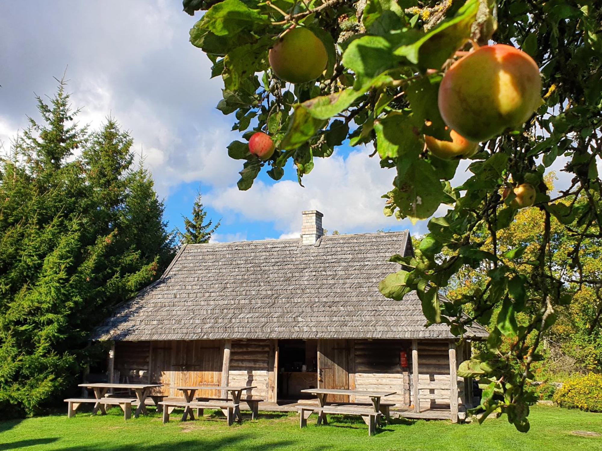 Anni Tourism Farm Βίλα Tammese Εξωτερικό φωτογραφία